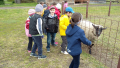 Piliscsévi Kalandpark_Sárga csoport_2016.04.28. (10).jpg