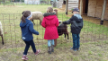 Piliscsévi Kalandpark_Sárga csoport_2016.04.28. (11).jpg