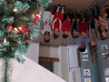 20211215_104739.jpg